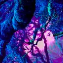 the Rift