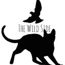 The Wilderness