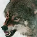 hunterdiscord