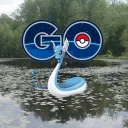Centreville/West Fairfax County Pokemon GO
