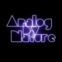 Analog By Nature
