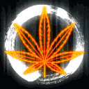 KusH