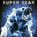 Super Bear Recruits
