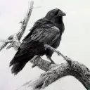 Escouade du Corbeau