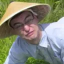 the rice fields