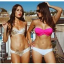 wwe divas icon
