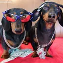 SwaggerWeiner