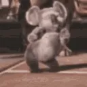 Koala Bear Managers