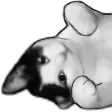 Palooka's Derps