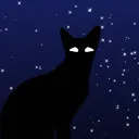 Night Sky Warriors