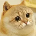 does(nt)makeanystream2u