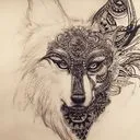 Wolf Pack
