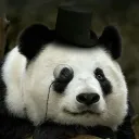 Mr. Panda's Cave