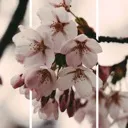 Floral House