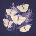 Identification