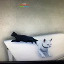 ポップン