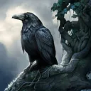 Ravens Rest