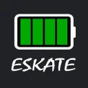 Electric Skateboarding