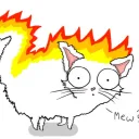 BRB My Cat is on Fire