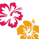SpringsAir Virtual Airline