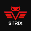 STRIX Server Icon