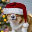 The Boys™ Discord Server Icon