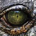 ARK: Asylum