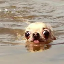 A not so average roleplay server