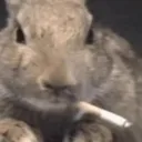 もちょぴょん首長国