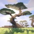 DosePlay Minecraft Netzwerk