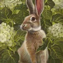 Hares Meadow Uncontinued