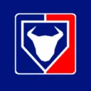 Bull Baseball League