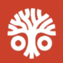 Root