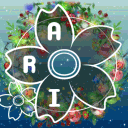 Team Ari
