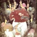 snail coven