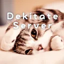 できたてサーバー(猫)