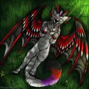 Wolcat friends