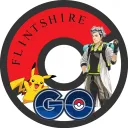 Pokémon GO Flintshire