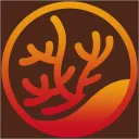 Koral