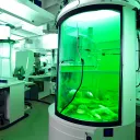 Lynn's lab