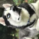 JRidge's Discord