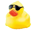 DUKS RUNNING