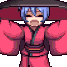 Touhou RP Discord server icon