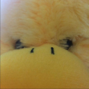 Kabe YollarÄ± Server Icon