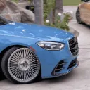 Welcome To The Jungle! Discord Server Icon