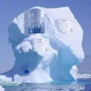 The iiGloo 🧊🥶
