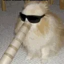 Fedzowski's Server Discord