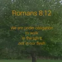 Romans 8:12