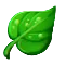 Windfall Community