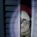 Hideout - discord server icon